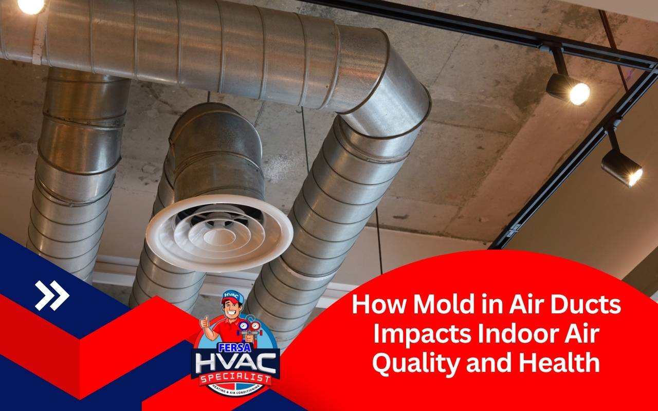 Health risks of mold in air ducts